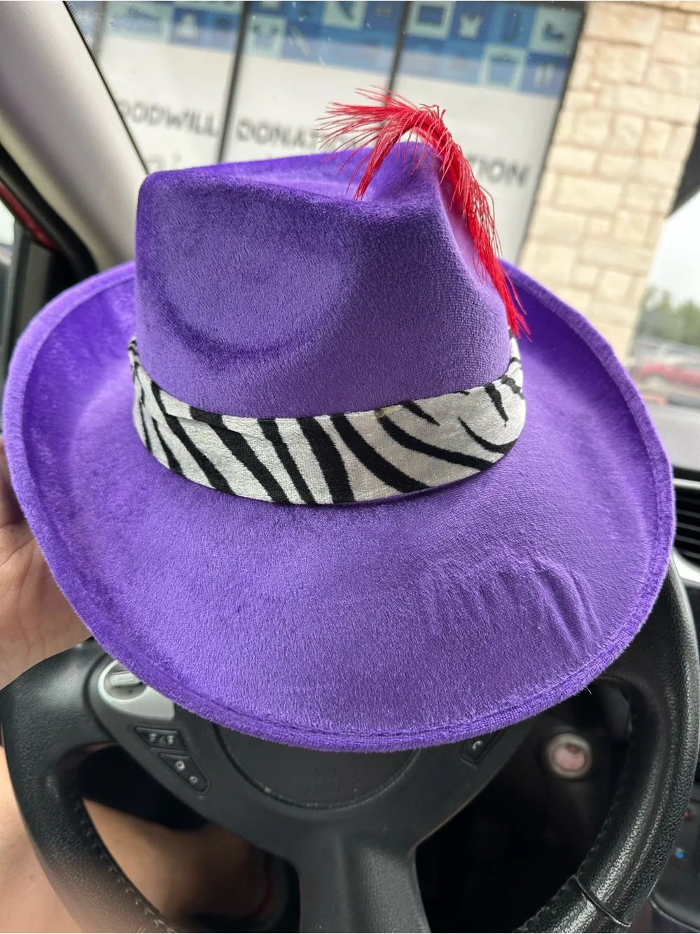 Pimp Martigrow Purple Felt Feather Band Unisex Fashion Hat